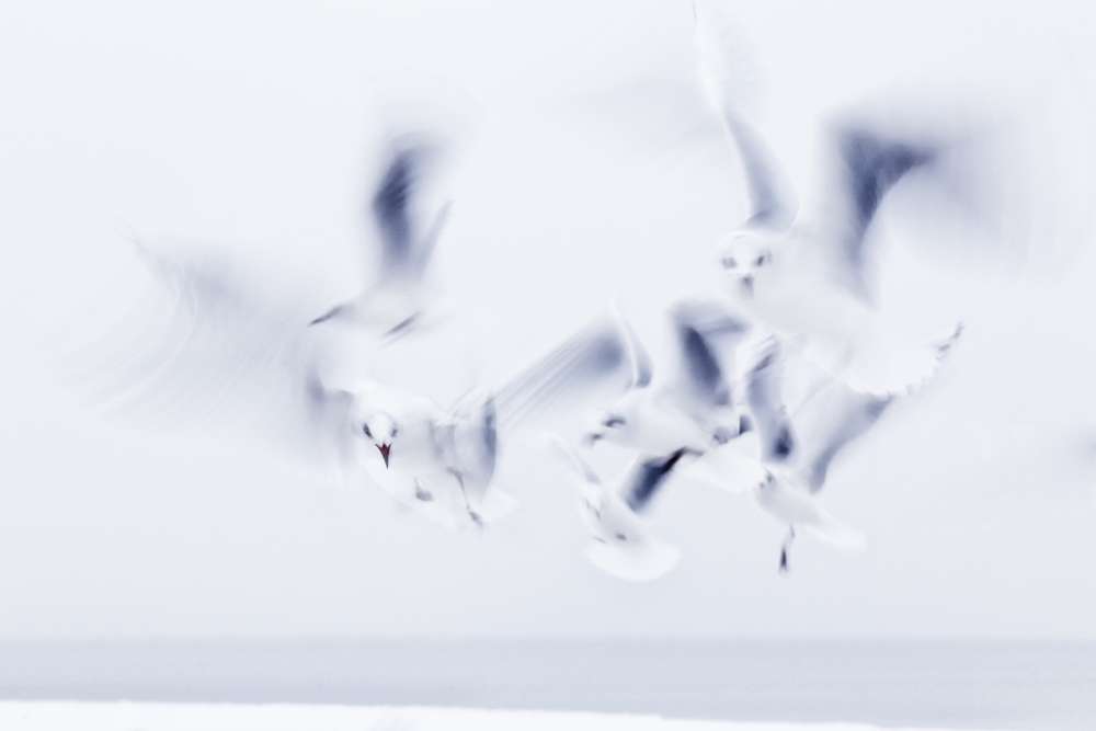 2. Platz Conny Kleiner